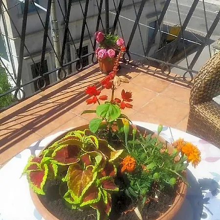 Hotel Tiziana