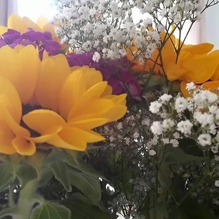 Tiziana Venedik-Lido